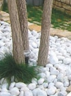Graviers ou galets roulés blanc Carrare en promo chez Super U Chelles à 6,99 €
