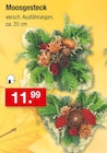 Moosgesteck im aktuellen Zimmermann Prospekt