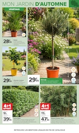 Prix et réduction Arbre dans le prospectus Carrefour en cours Offre Arbre dans le catalogue Carrefour du moment à la page 4