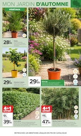Promos Laurier dans le catalogue "JARDIN" de Carrefour Laurier en promo dans le catalogue Carrefour à la page 4