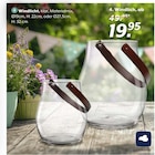 Windlicht im Angebot bei BRAUN Möbel-Center in Rottenburg Windlicht Angebote von Leonardo bei BRAUN Möbel-Center Rottenburg für 19,95 €