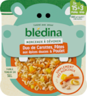 ASSIETTE DUO DE CAROTTES, PÂTES AUX ÉPICES DOUCES & POULET BLÉDINA - BLEDINA - Auchan Hypermarché à Nice ASSIETTE DUO DE CAROTTES, PÂTES AUX ÉPICES DOUCES & POULET BLÉDINA - BLEDINA en promo chez Auchan Hypermarché Nice à 2,39 €