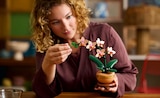 Aktuelles Botanicals Mini-Orchidee Angebot bei Penny in Berlin ab 19,99 €