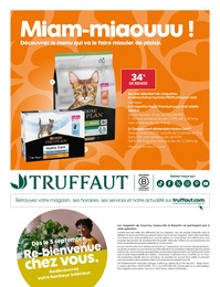 Offre Cars dans le catalogue Truffaut du moment à la page 8