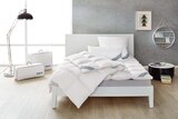 3-Kammer-Kopfkissen oder Daunen-Kassettenbettdecke im Angebot bei Lidl in Göppingen 3-Kammer-Kopfkissen oder Daunen-Kassettenbettdecke Angebote von Balette bei Lidl Göppingen für 34,99 €