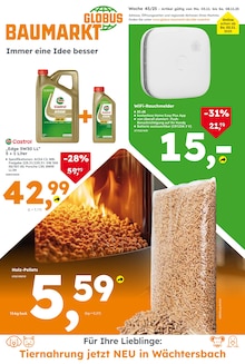 Aktueller Globus-Baumarkt Wächtersbach Prospekt "Immer eine Idee besser" mit 16 Seiten