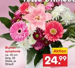 Blumensymphonie Angebote bei Netto Marken-Discount Bergheim für 24,99 €