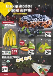 Pflanzen im EDEKA Prospekt in Dorsten Aktueller EDEKA Prospekt mit Pflanzen, "Aktuelle Angebote", Seite 4