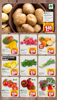 Kartoffeln im nahkauf Prospekt "nichts liegt näher" mit 8 Seiten (Chemnitz)