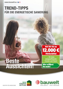 Delmes Bauwelt Prospekt Trend-Tipps für die energetische Sanierung mit  Seiten in Appen und Umgebung