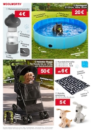 Woolworth Hundespielzeug im Prospekt 