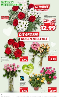Pflanzen im Kaufland Prospekt "Aktuelle Angebote" mit 70 Seiten (Bielefeld)