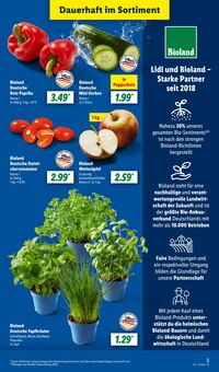 Tomaten im aktuellen Lidl Prospekt (Düsseldorf) Tomaten im Lidl Prospekt "LIDL LOHNT SICH" mit 64 Seiten (Düsseldorf)