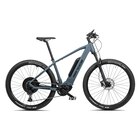 E-Mountainbike RR700e Bosch Performance CX 545 Wh Hardtail 29 Zoll Grün matt bei Decathlon im Passau Prospekt für 2.499,00 €