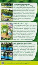Schnittblumen Angebot & Preis im aktuellen Pflanzen Kölle Prospekt Schnittblumen Angebot im aktuellen Pflanzen Kölle Prospekt auf Seite 18