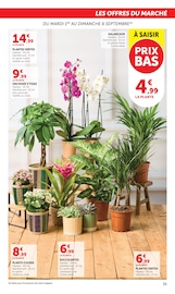 Promos Jardinage dans le catalogue "SUPER U" de Super U Jardinage en promo dans le catalogue Super U à la page 35