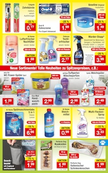 Rasen Angebot im aktuellen Zimmermann Prospekt auf Seite 7