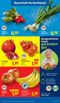Äpfel im aktuellen Lidl Prospekt (Freiburg (Breisgau)) Äpfel im Lidl Prospekt "LIDL LOHNT SICH" mit 70 Seiten (Freiburg (Breisgau))