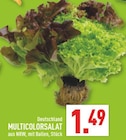 Multicolorsalat Angebote bei Marktkauf Wuppertal für 1,49 €