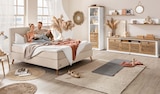 Boxspringbett POEL Angebote von Sansibar bei Trends Witten für 199,00 €