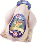Poulet fermier de l'ain Label Rouge IGP blanc à Intermarché dans Saint-Quentin-sur-Isère Poulet fermier de l'ain Label Rouge IGP blanc à Intermarché dans Saint-Quentin-sur-Isère