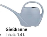 Gießkanne Angebote bei E center Rastatt für 2,00 €
