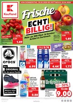 Kaufland Prospekt für Fredersdorf-Vogelsdorf mit 40 Seiten Kaufland Prospekt für Fredersdorf-Vogelsdorf: "Frische ECHT BILLIG!", 40 Seiten, 28.05.2020 - 03.06.2020