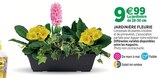 Promo Jardinière fleurie à 9,99 € dans le catalogue Jardineries du terroir à Saint-Pierre-d'Albigny