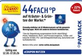 44FACH °P von Payback im aktuellen Netto Marken-Discount Prospekt für 