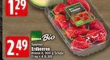 Erdbeeren bei EDEKA im Wallenhorst Prospekt für 2,49 €
