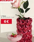 Vase Angebote bei Woolworth Pulheim für 6,00 €