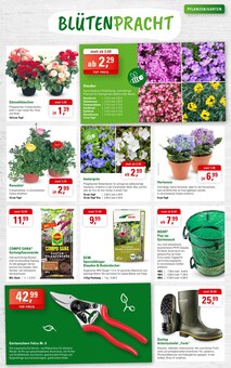 Hortensie im ZG Raiffeisen Prospekt "GARTENFREUDE….ES GEHT ENDLICH LOS!" mit 8 Seiten (Pforzheim)