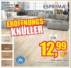 Klick-Laminat Lona Angebote von Esprima bei Jähnke DIE WOHNRAUM-PROFIS e.K Brandenburg für 12,99 €