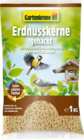 Hagebaumarkt Hofgeismar Prospekt mit  im Angebot für 3,79 €