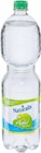 Wasser mit Geschmack Angebote von Naturalis bei Netto Marken-Discount Leipzig für 0,55 €
