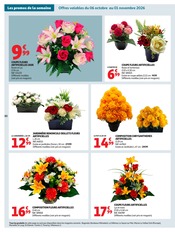 Promos Chrysanthèmes dans le catalogue "LE GOÛT DU RÉCONFORT" de Auchan Hypermarché Chrysanthèmes en promo dans le catalogue Auchan Hypermarché à la page 50