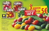 Snackster Radieschen Mix von EDEKA Herzstücke für 5,00 € bei E center im Angebot Snackster Radieschen Mix von EDEKA Herzstücke im aktuellen E center Prospekt