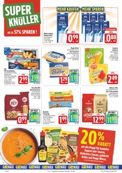 Maggi im EDEKA Prospekt in Plauen Aktueller EDEKA Prospekt mit Maggi, "Wir lieben Lebensmittel!", Seite 2