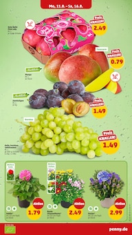 Äpfel Angebot im aktuellen Penny Prospekt auf Seite 3