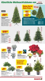 Weihnachtsbaum im toom Baumarkt Prospekt in Wandlitz Aktueller toom Baumarkt Prospekt mit Weihnachtsbaum, "Respekt, wer's selber macht.", Seite 3