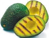 Avocado Hass im aktuellen Netto mit dem Scottie Prospekt