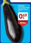 Aubergine bei ALDI SÜD im Goch Prospekt für 0,69 €