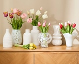 Vase oder Tulpenbund Angebote von Ambia Home bei XXXLutz Möbelhäuser Fellbach für 5,99 €