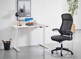 E-Schreibtisch Ulix von CARRYHOME für 79,99 € bei Zurbrüggen im Angebot E-Schreibtisch Ulix von CARRYHOME im aktuellen Zurbrüggen Prospekt