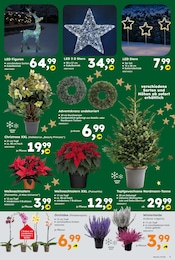 Aktueller Globus-Baumarkt Prospekt mit Weihnachtsdekoration, "Immer eine Idee besser", Seite 5