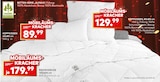 Aktuelles Kopfkissen 40x80 cm Angebot bei porta Möbel in Osnabrück ab 89,99 €