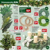 Aktueller Thomas Philipps Prospekt mit Mixer, "Top Angebote", Seite 5