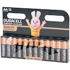 Piles Duracell AA à Action dans Bapaume Piles Duracell AA à Action dans Bapaume