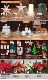 Laternen im OBI Prospekt in Arnsberg Aktueller OBI Prospekt mit Laternen, "BEREIT FÜR DEN ADVENT", Seite 5