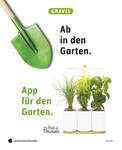 Garten Garten